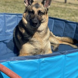 Meet your Posher, Beretta